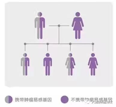 健康托付，關愛彼此 腫瘤基因檢測在療養院中的守護與溫度