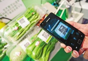 食品信息追溯系統(tǒng) 構(gòu)建透明供應(yīng)鏈，賦能消費(fèi)選擇